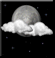 Tonight: A slight chance of showers and thunderstorms after 5am. Partly cloudy, with a low around 67. East southeast wind 5 to 8 mph. Chance of precipitation is 20%. Tonight: Partly Cloudy then Slight Chance Showers And Thunderstorms